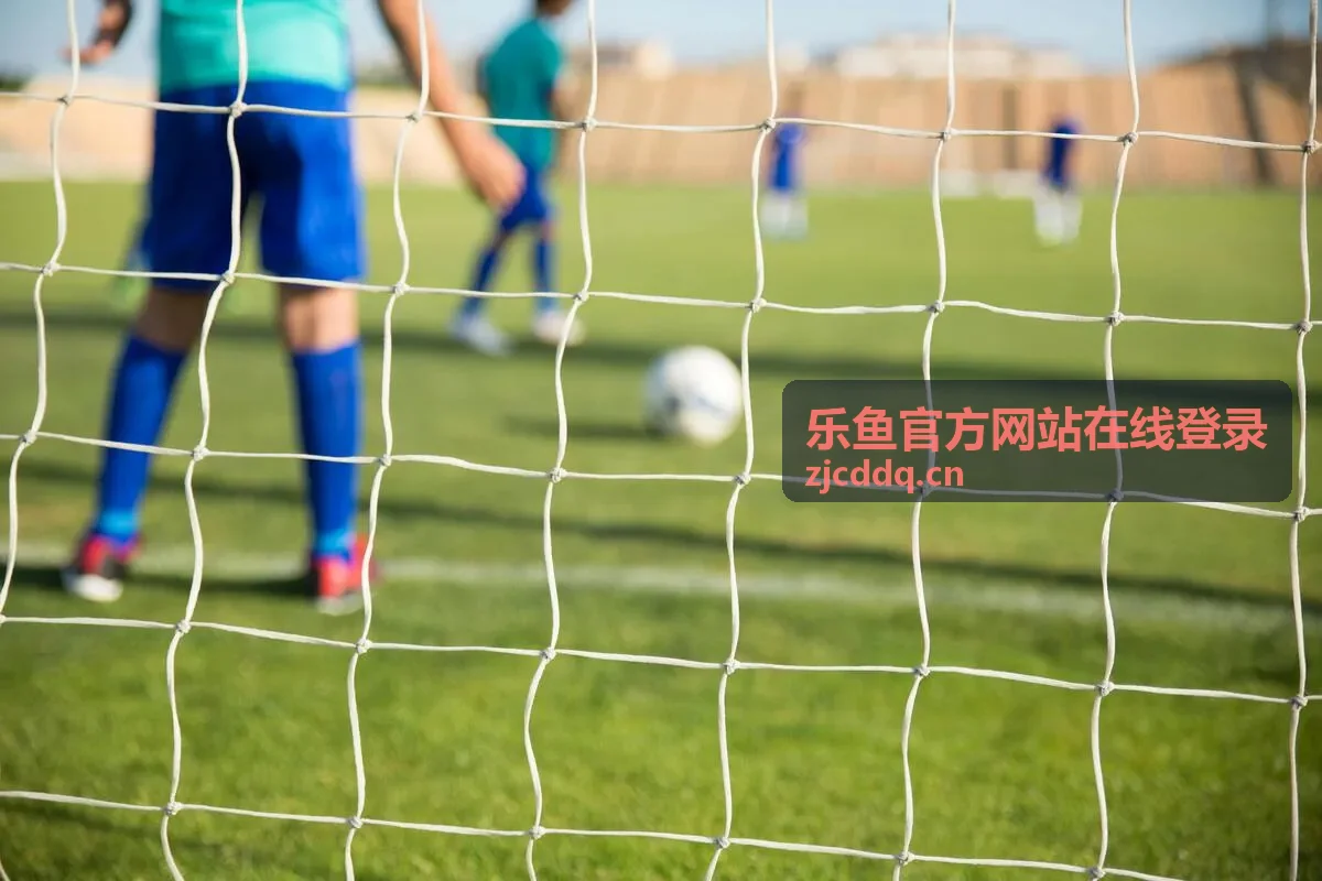 乐鱼官方网站在线登录核对入口地址的常用方法示意